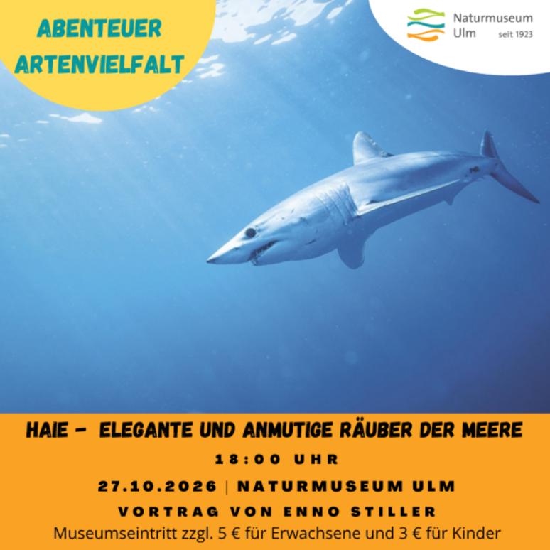 Haie – elegante und anmutige Räuber der Meere (Vortrag für Erwachsene)